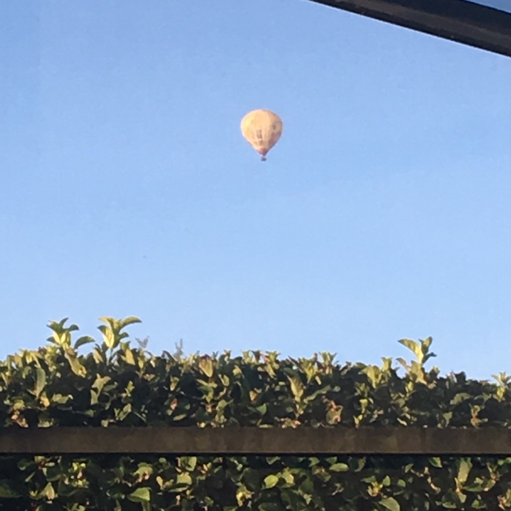 Meet your Posher, Anne